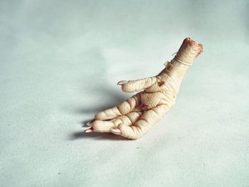 Close-up of human hand against gray background
