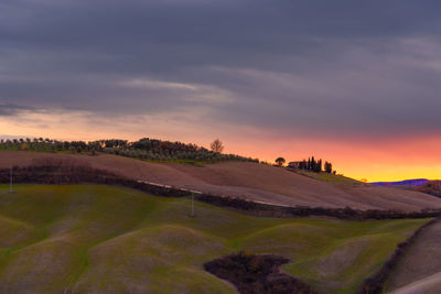 Scenic view of agricultural field against sky during sunset