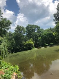 Trees by lake against sky