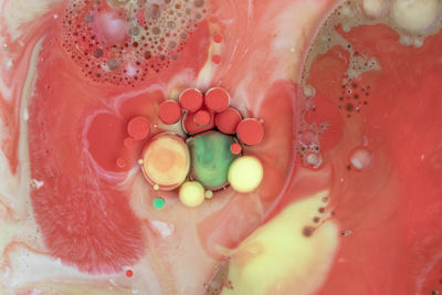 Close-up of multi colored cake