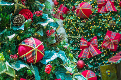 Close-up of christmas tree