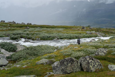 Scenic view of landscape against sky