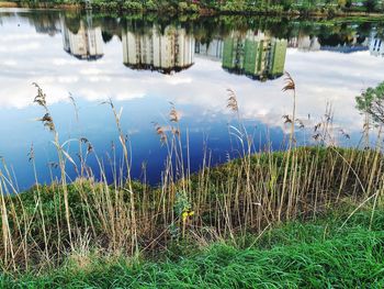 Scenic view of lake