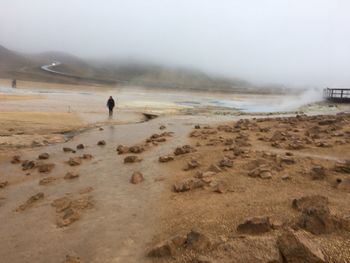 Rear view of people walking on beach