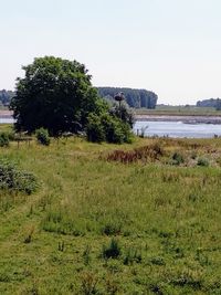 Scenic view of landscape against clear sky