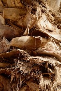 Full frame shot of hay bales in farm