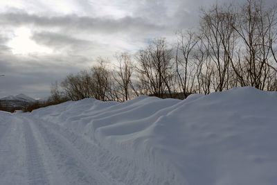 Trees on snow covered landscape against sky