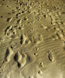 High angle view of footprints on sand at beach