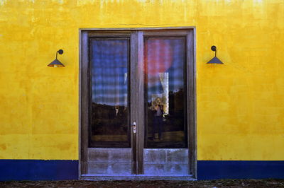 Close-up of yellow bird on window