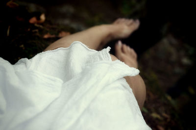 Close-up of white rose against blurred background