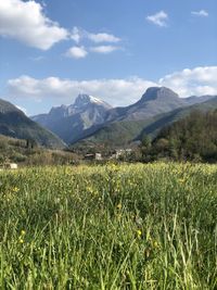 Scenic view of landscape and mountains