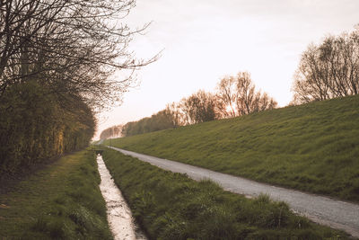 Road amidst bare trees on field against sky