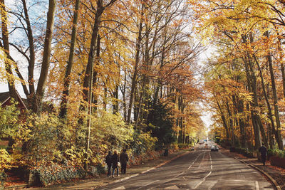 Rear view of road amidst trees during autumn