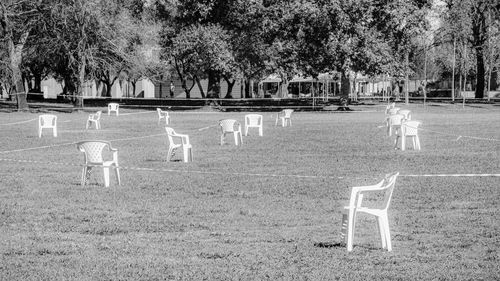 Empty benches on field against trees in park