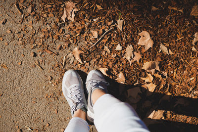 Low section of person standing on dry leaves