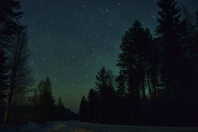 Low angle view of trees against sky at night