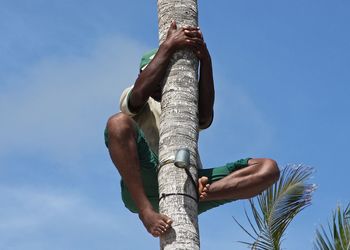 Low angle view of man climbing on coconut palm tree against sky
