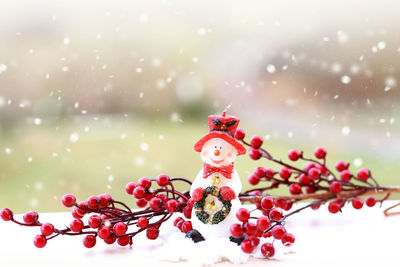 Close-up of christmas decoration on table