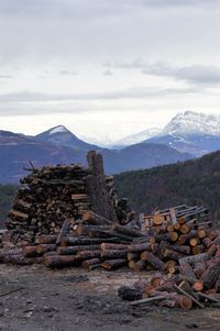 Stack of logs on mountain against sky