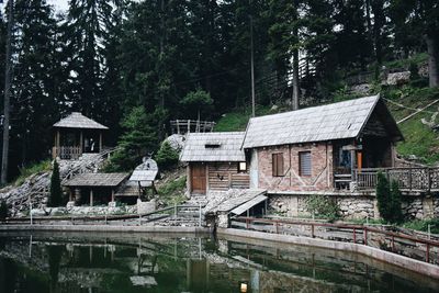 Houses by lake and trees in forest