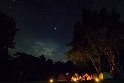 Low angle view of silhouette trees against sky at night