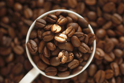 High angle view of coffee beans