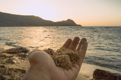 Close-up of hand against sea at sunset