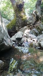 View of stream flowing through rocks