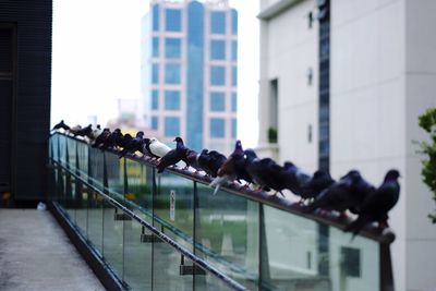 Group of people in glass building