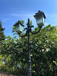 Low angle view of street light against sky