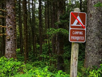 Road sign by trees in forest