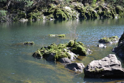 View of lake with trees in background