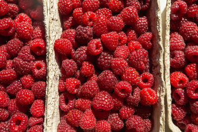 Fresh red raspberries in paper eco-friendly containers, top view