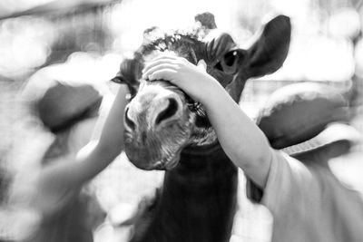 Close-up of hand holding baby