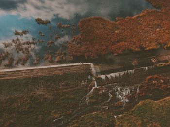 Plants growing on land against sky during autumn