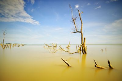 Scenic view of lake against sky