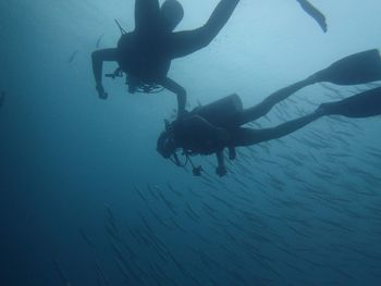 Full length of people swimming undersea