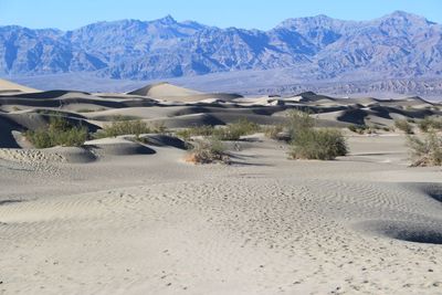 Scenic view of sand dunes against sky