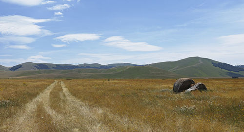 Scenic view of field against sky