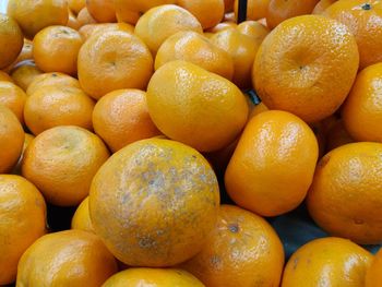Juicy fresh orange