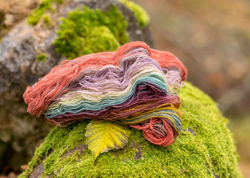 Stones overgrown with green moss, colored wool yarn skeins, handicraft concept, hand knitting