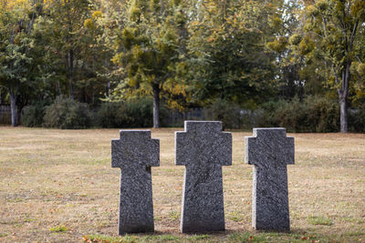 Stone tombstones in the german cemetery in the fall. beautiful german cemetery near kyiv.
