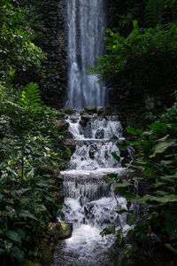 Scenic view of waterfall in forest