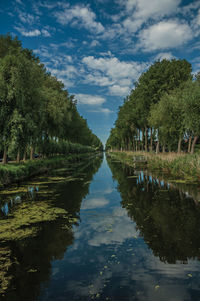 Bushes and grove along canal with sky reflected on water in damme. a charming village in belgium.