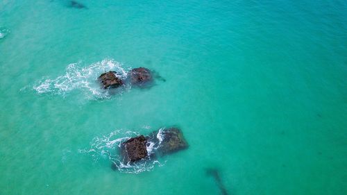 High angle view of swimming in sea