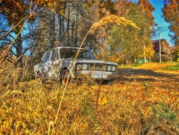 View of abandoned car on field