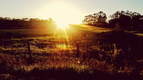 Scenic view of field against sky at sunset