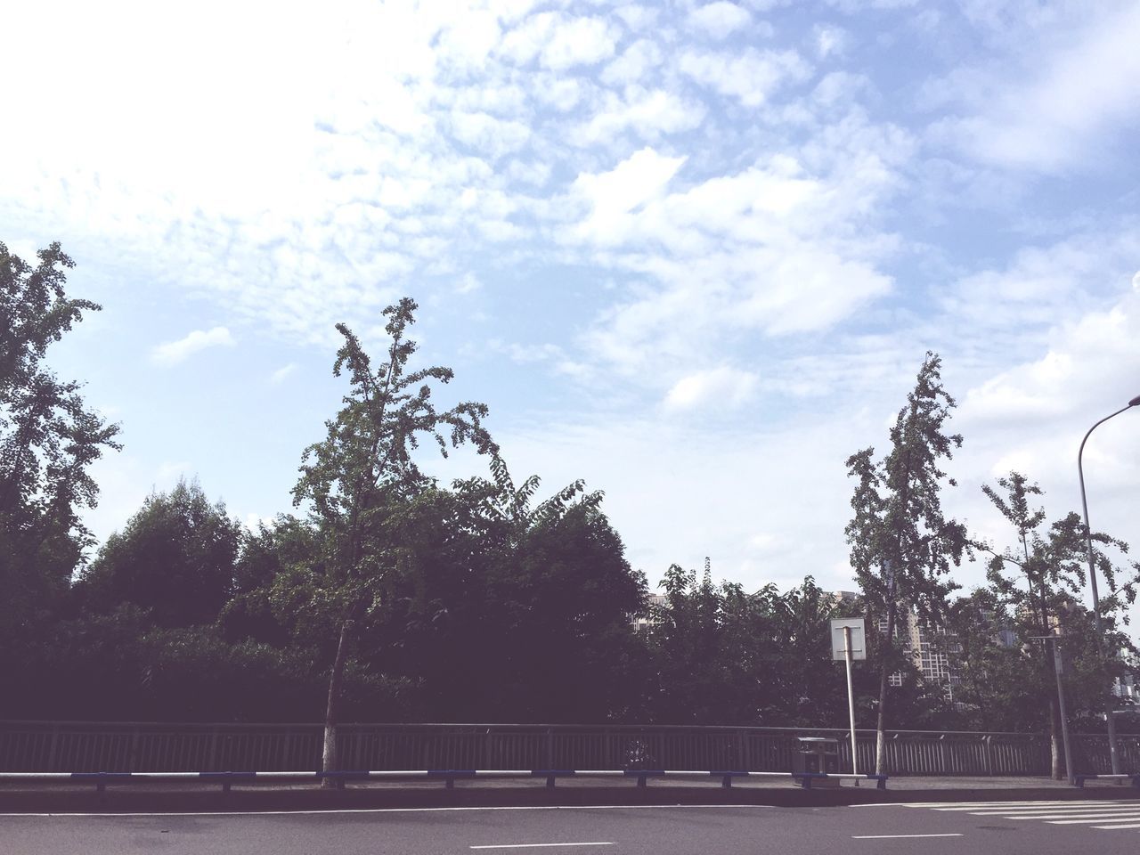 tree, sky, railing, cloud - sky, tranquility, fence, nature, bare tree, transportation, cloud, cloudy, tranquil scene, the way forward, road, outdoors, growth, day, beauty in nature, branch, sunlight