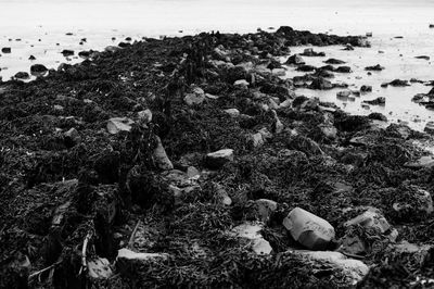 High angle view of rocks at beach against sky