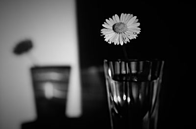 Close-up of flower vase on table